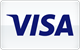 Visa platobná karta akceptovaná v kasíne